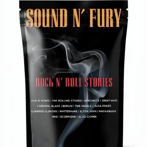 Heavy Metal Music Book by ECW Press, 225 Pages, Kindle Store-0
