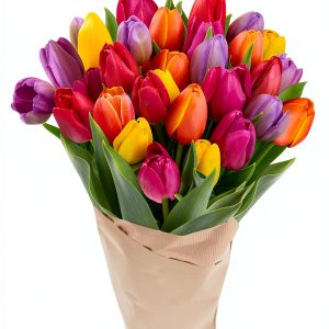 Stargazer Barn Rainbow Tulips - 30 Stem Fresh Cut Flowers for-0